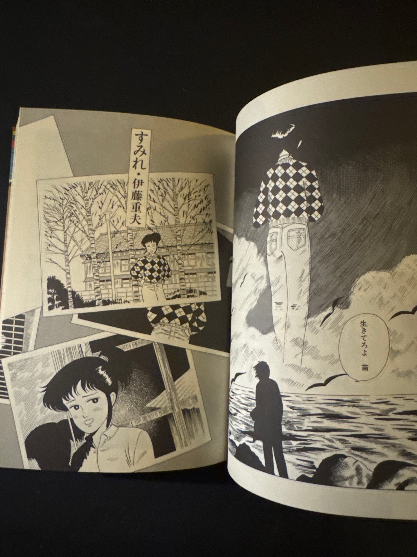 Thoughts on the Chocolate Sphinx