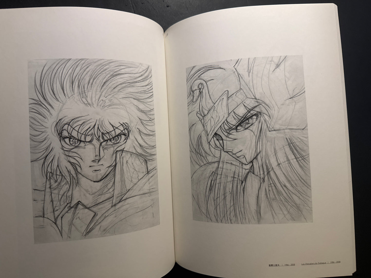 SHINGO ARAKI 1939-2011 : Hitomi to Tamashii (Eyes and Soul)