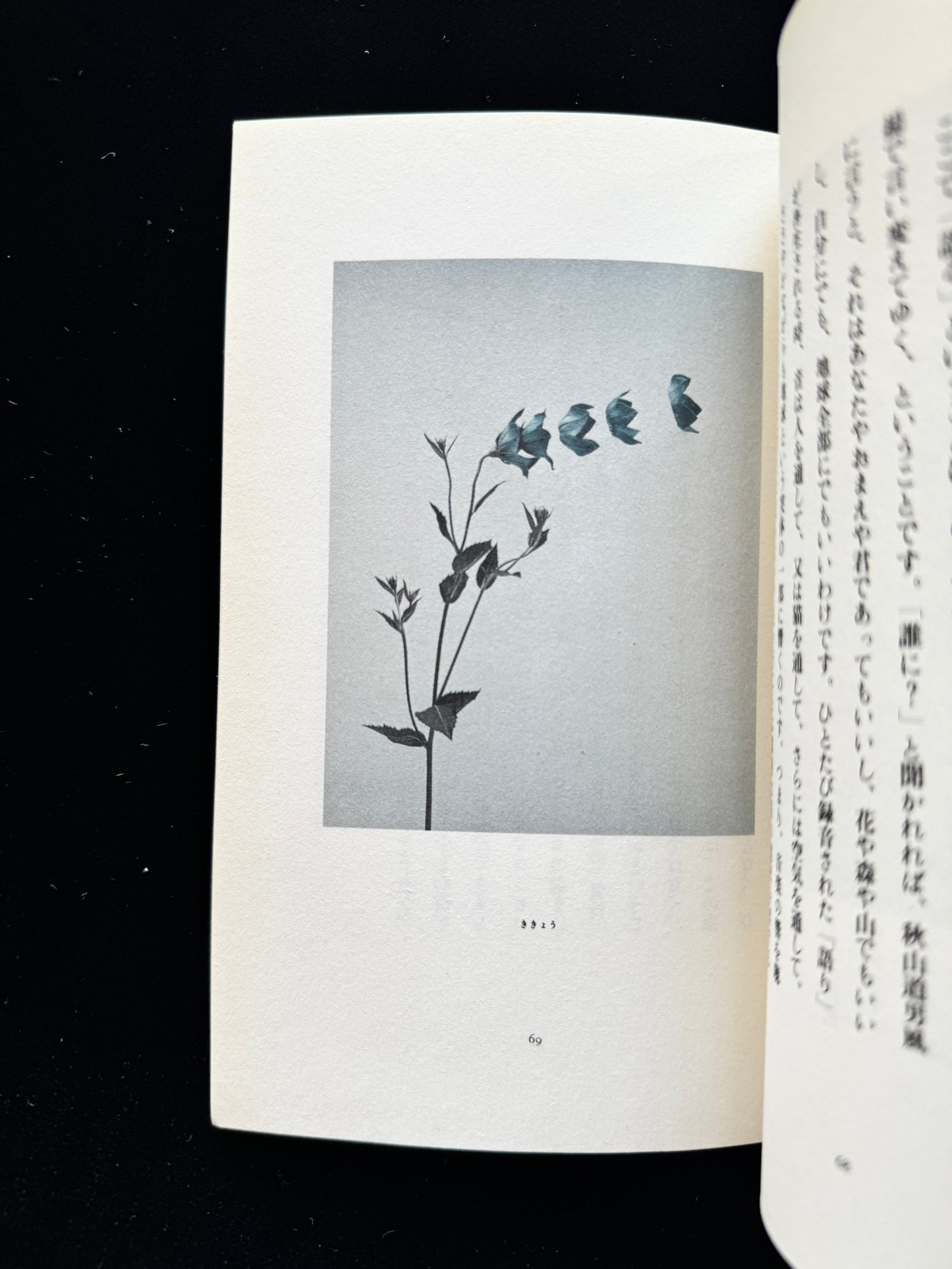 Hana ni Mizu (Water the flowers)  cassette book