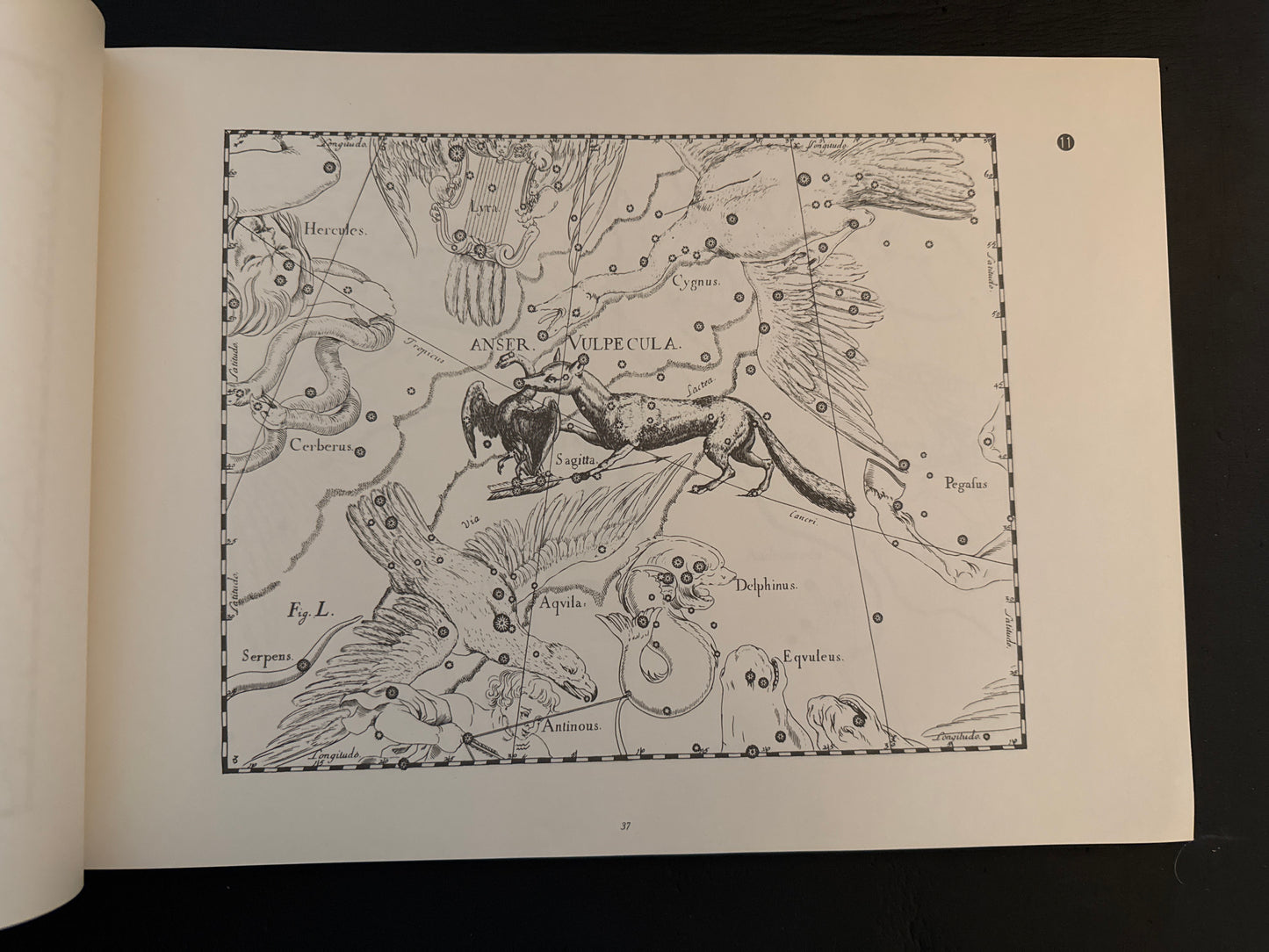 Hevelius’s Star Atlas Illustration