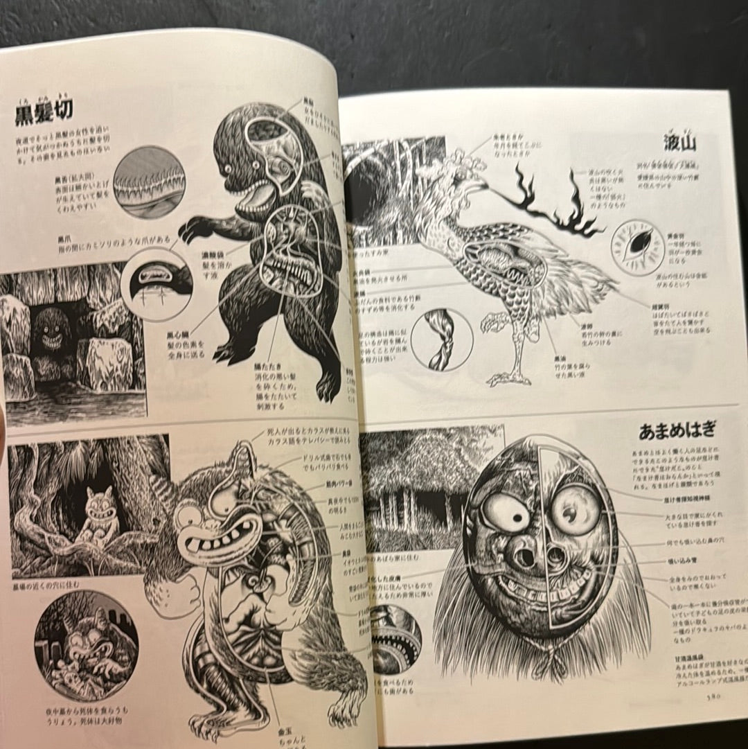 MIZUKI SHIGERU Collection of comics perfection Yokai Art Collection 4