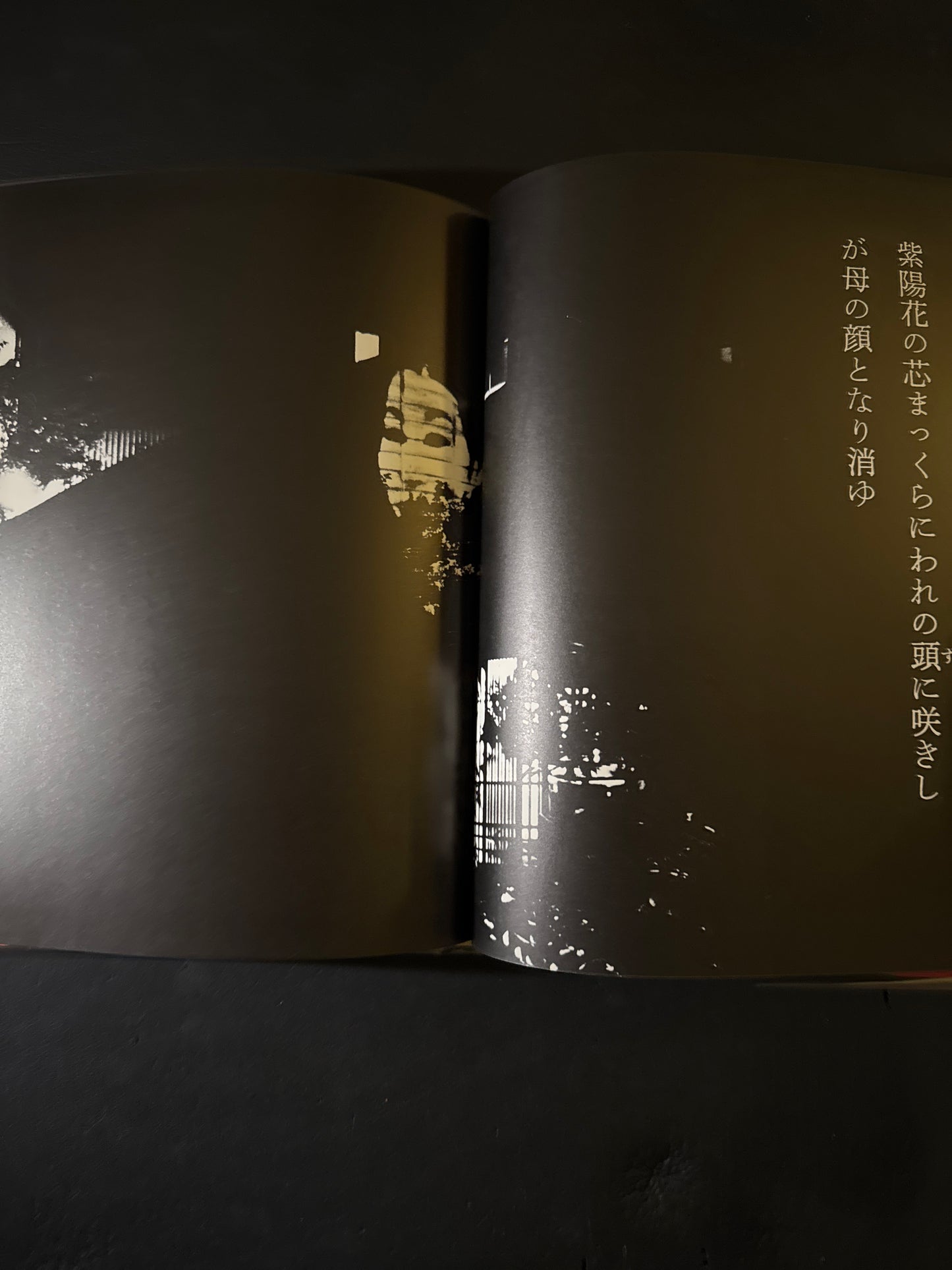 photo theque imaginaire de Shuji Terayama Les gems de la famille Chien Dieu