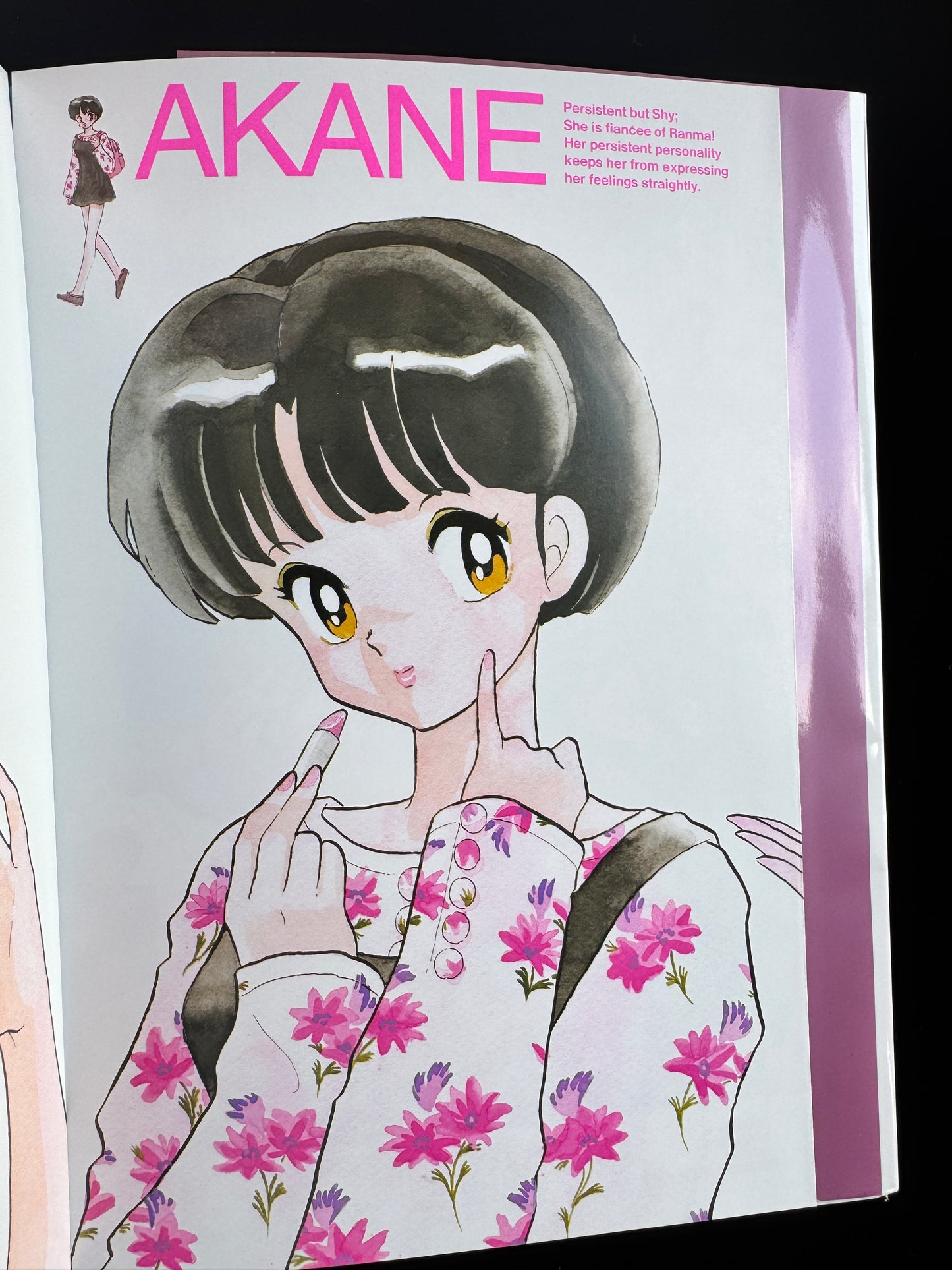 RANMA 1/2 MEMORIAL BOOK