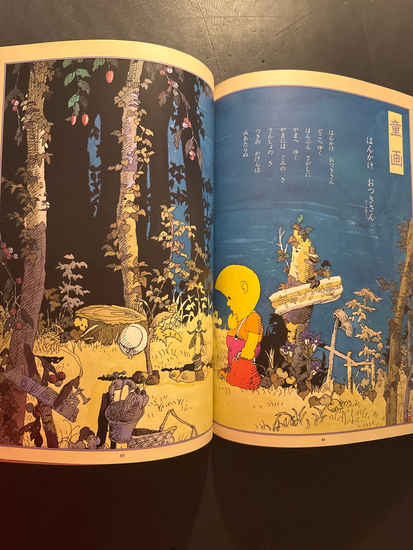 The World of Seiichi Hayashi