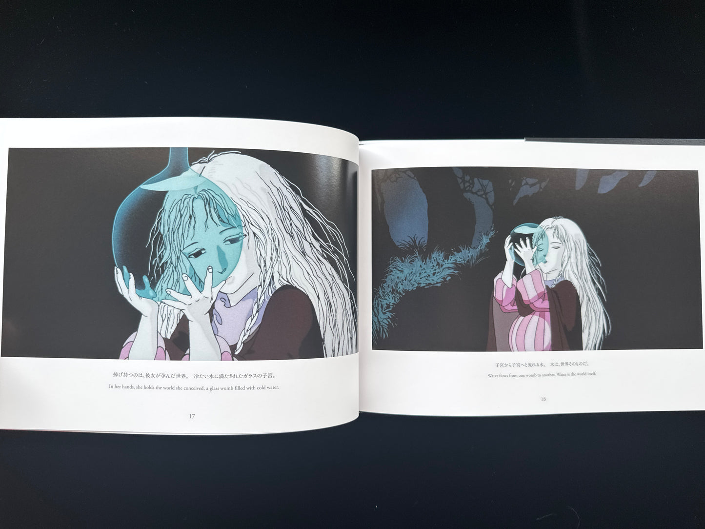 Angel's Egg THE VISUAL COLLECTION