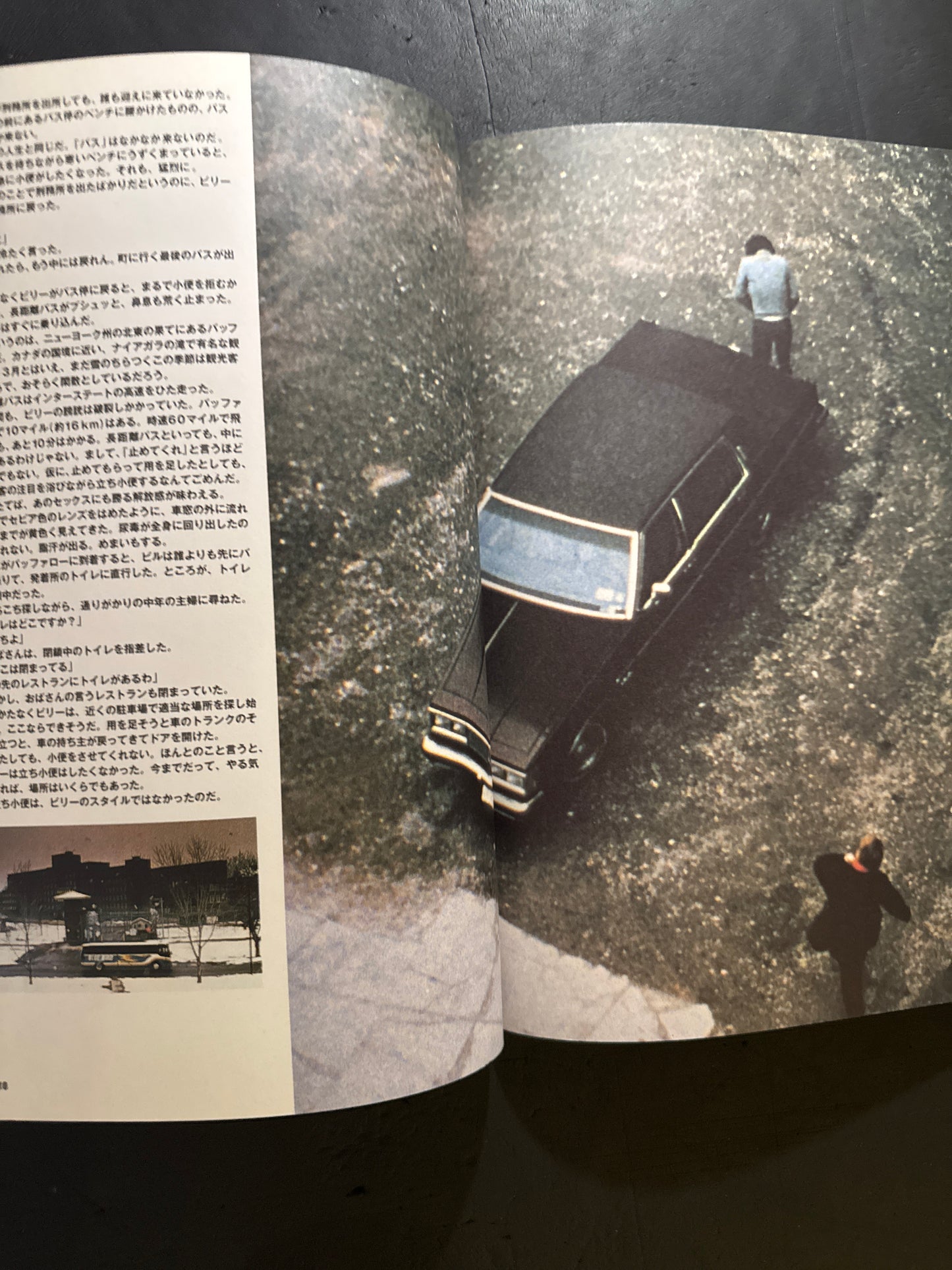 Buffalo '66 visual book