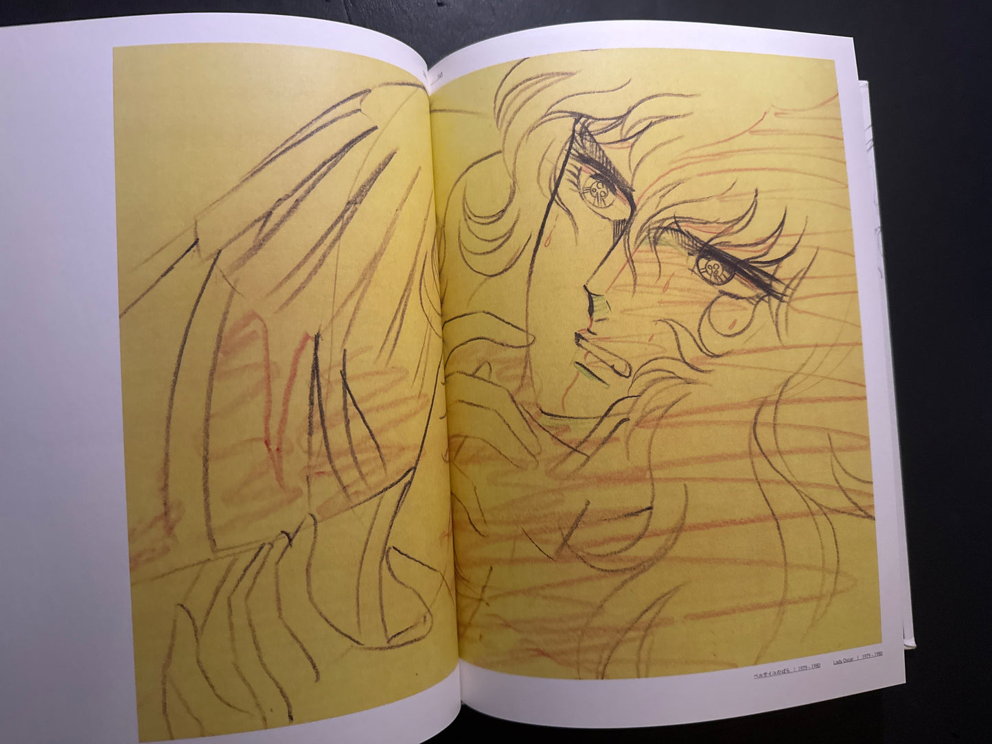 SHINGO ARAKI 1939-2011 : Hitomi to Tamashii (Eyes and Soul)