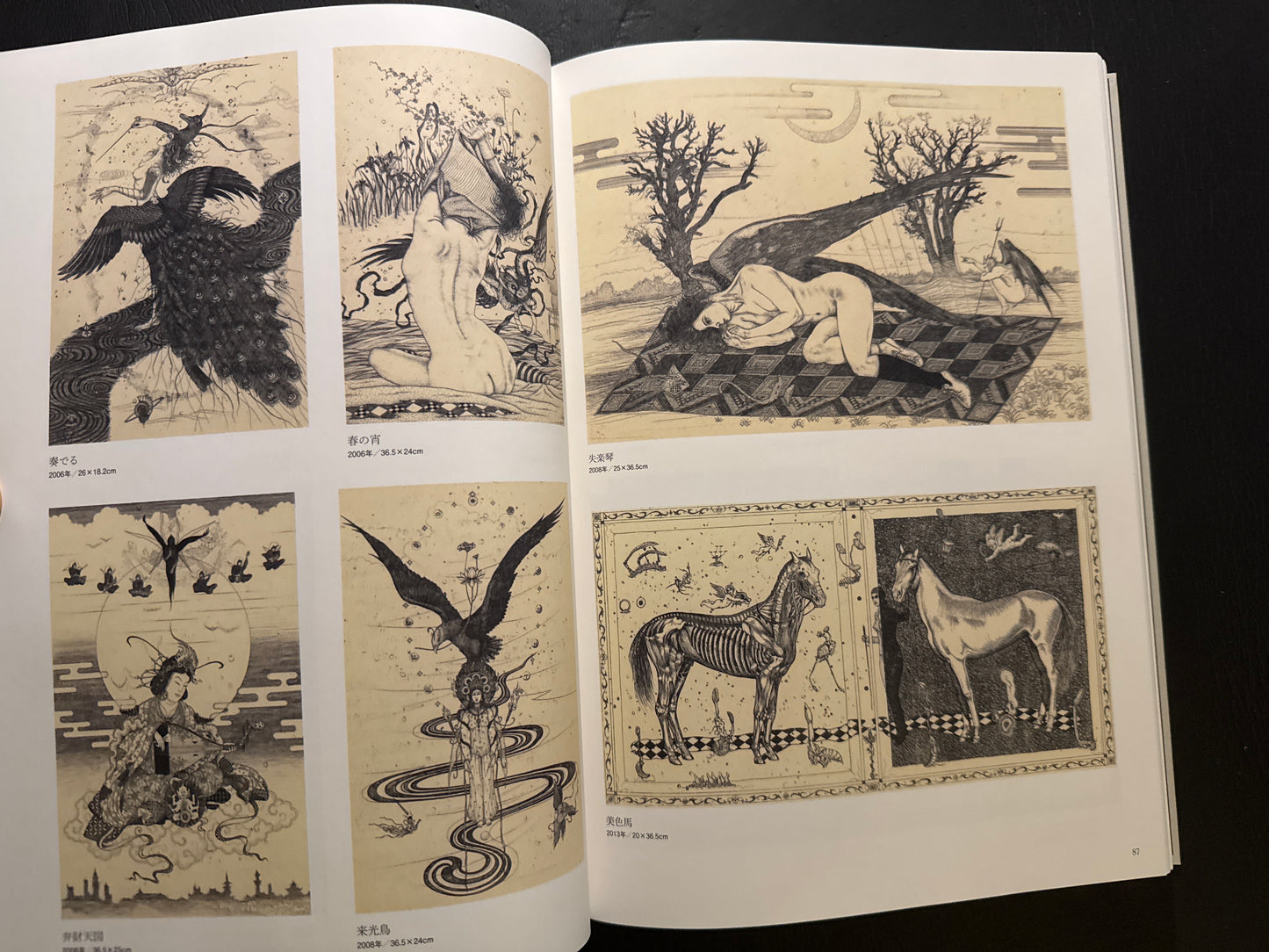 The World of Shin Taga