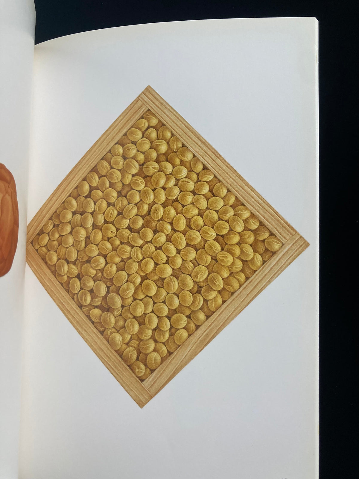 Tadashi Ohara(World Graphic Design 28)