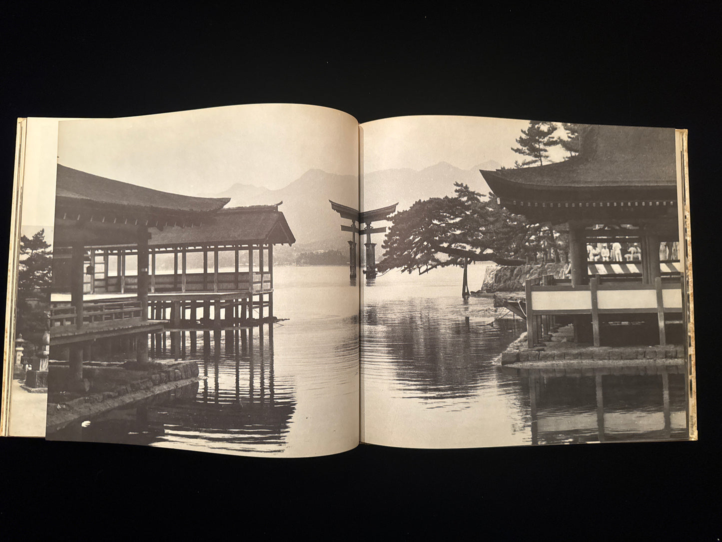 JAPON
