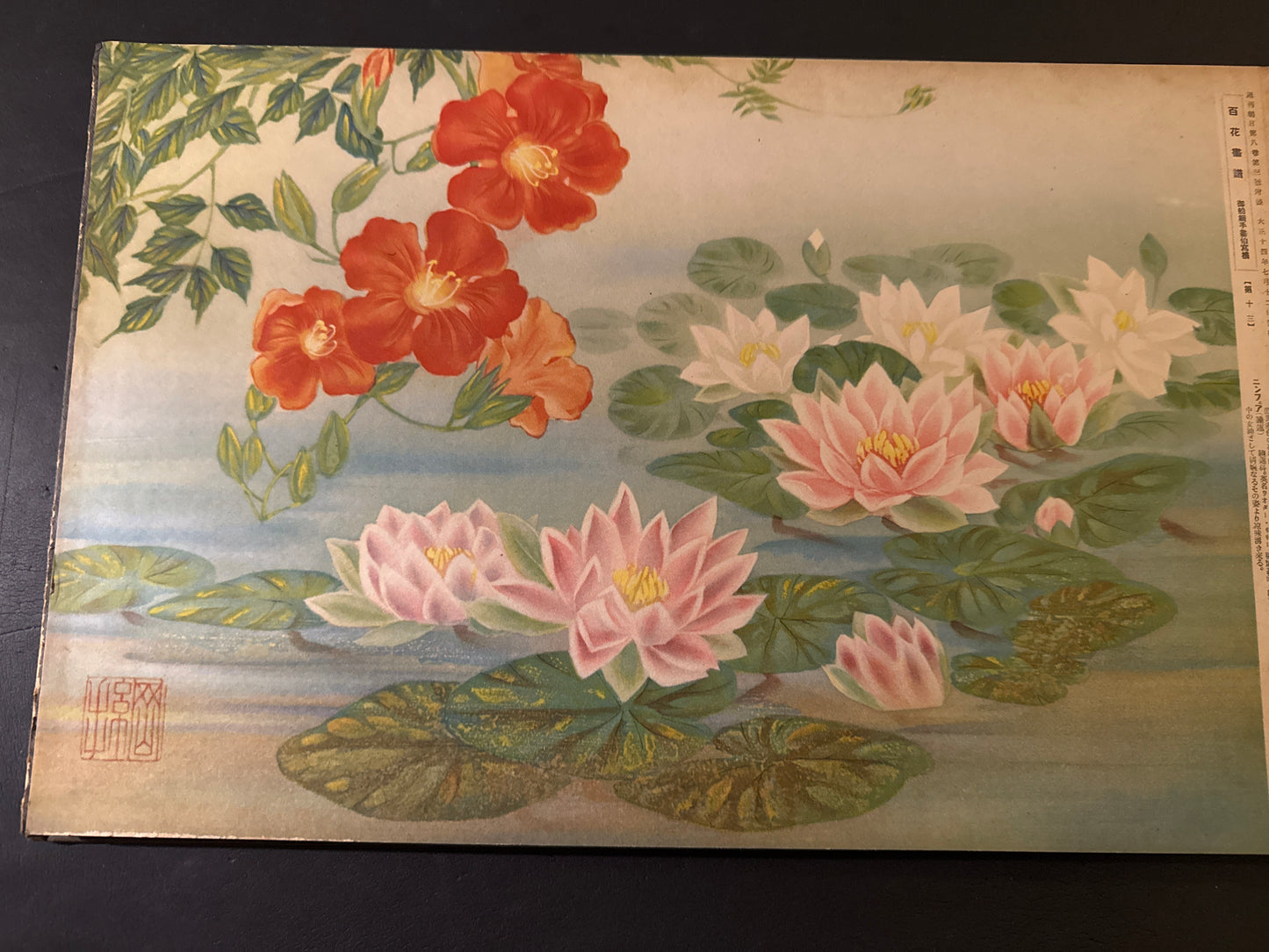 Hyakka: An Illustrated Collection of a Hundred Flowers