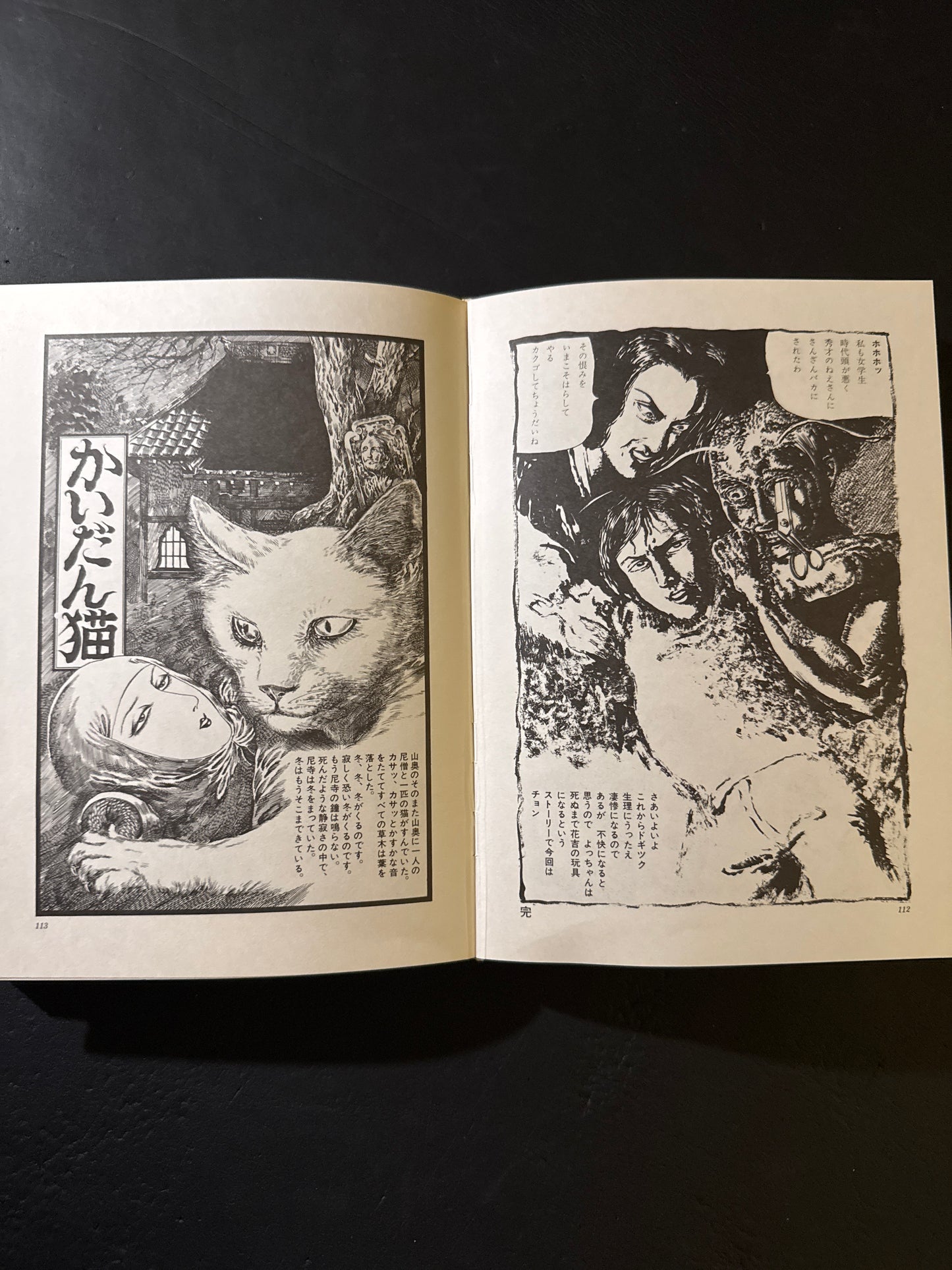 Kazuichi Hanawa Works : Limited 800 copies