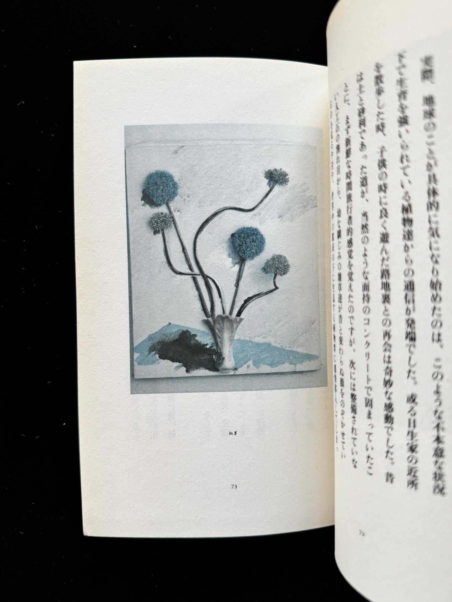 Hana ni Mizu (Water the flowers)  cassette book