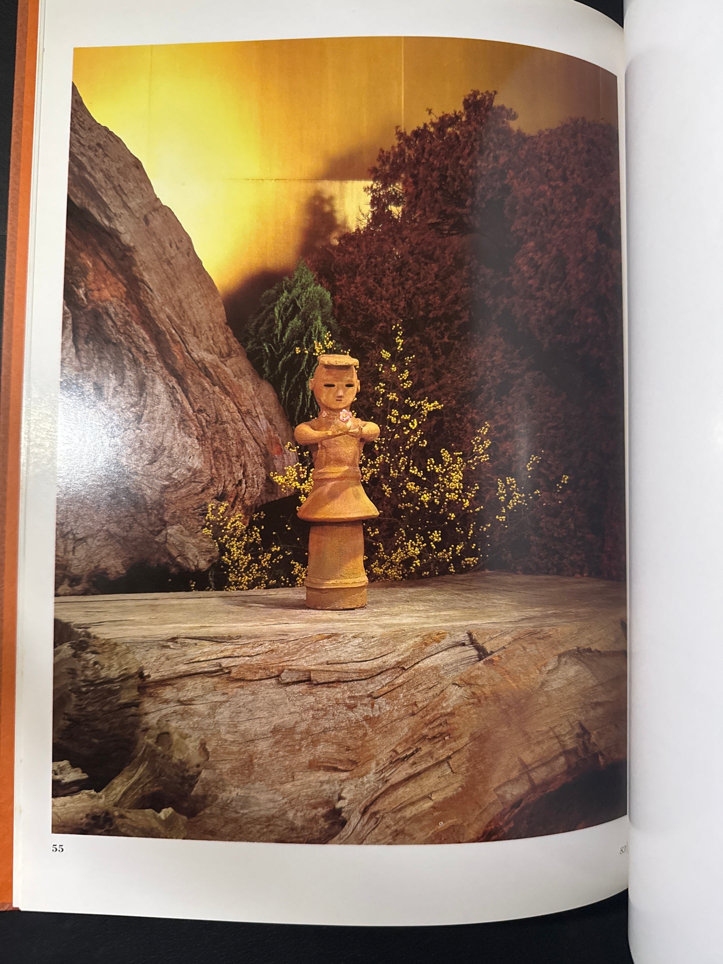 Sofu Teshigawara Ikebana 5 vol. complete set