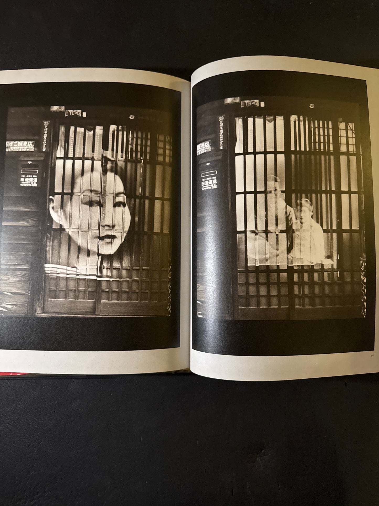 photo theque imaginaire de Shuji Terayama Les gems de la famille Chien Dieu