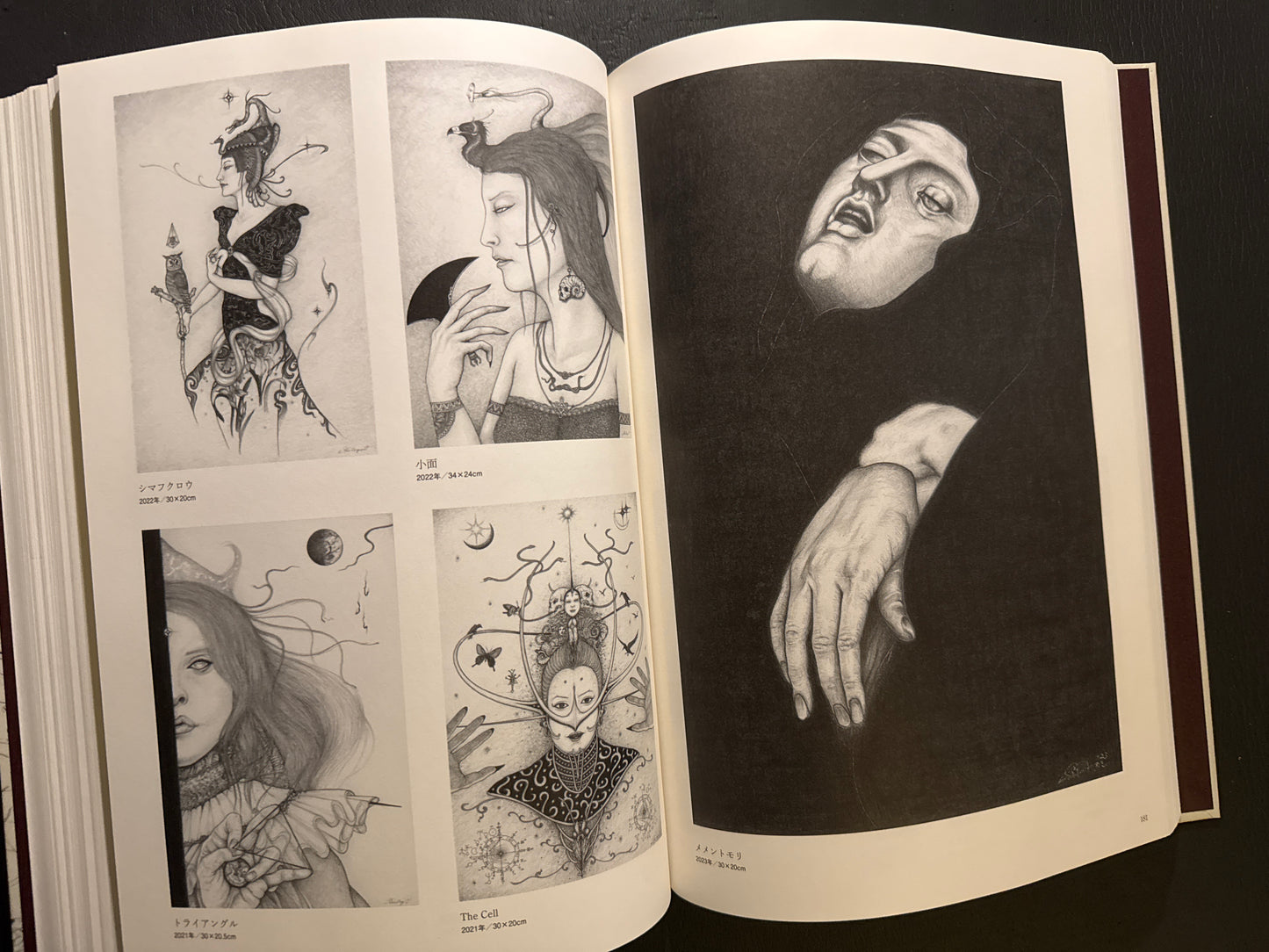 The World of Shin Taga