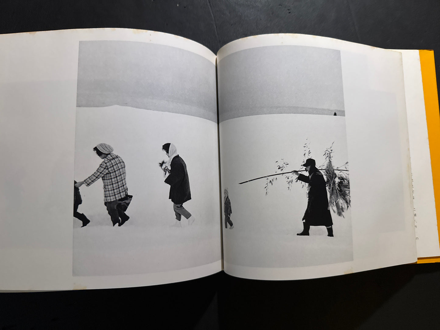 Sand Dunes / Seasons of the Children