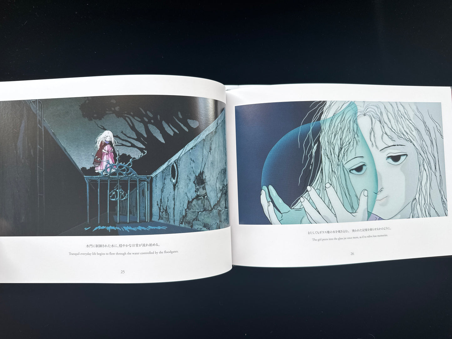 Angel's Egg THE VISUAL COLLECTION