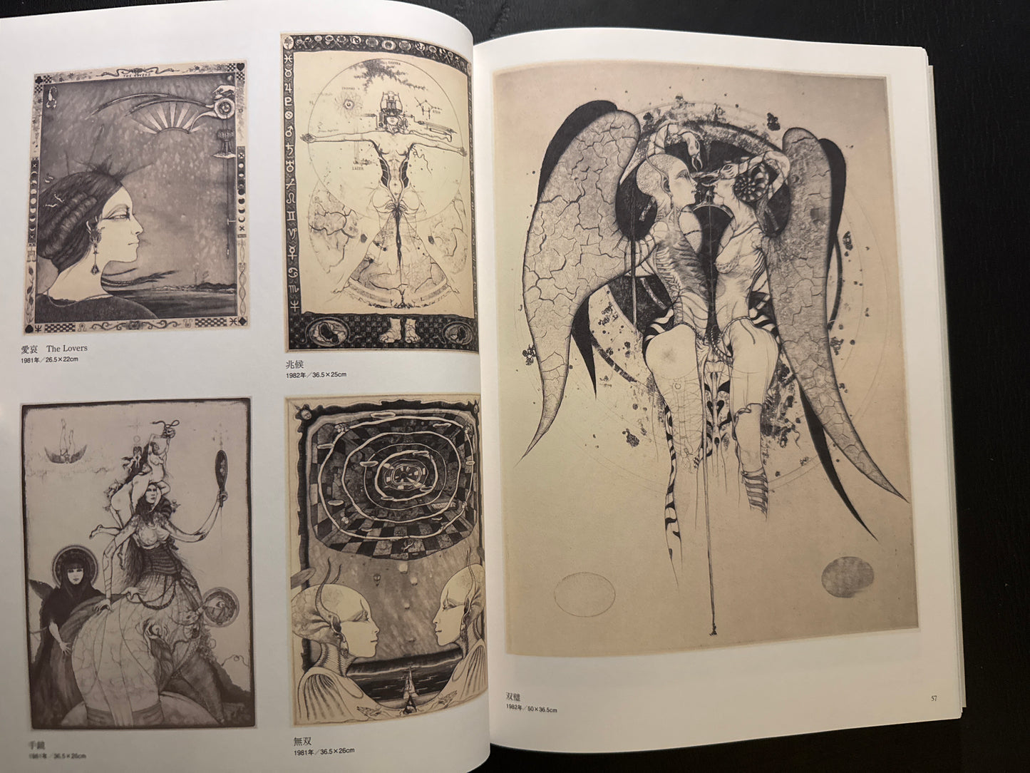 The World of Shin Taga