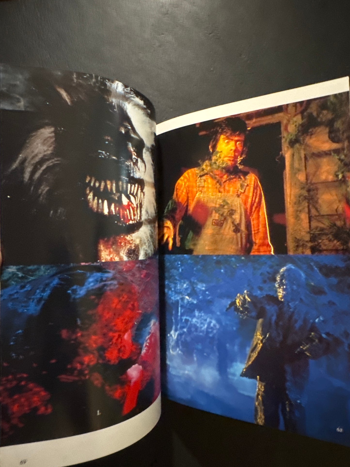 A World of Blood-Splattered Horror — The Splatter Films of Lewis and Romero
