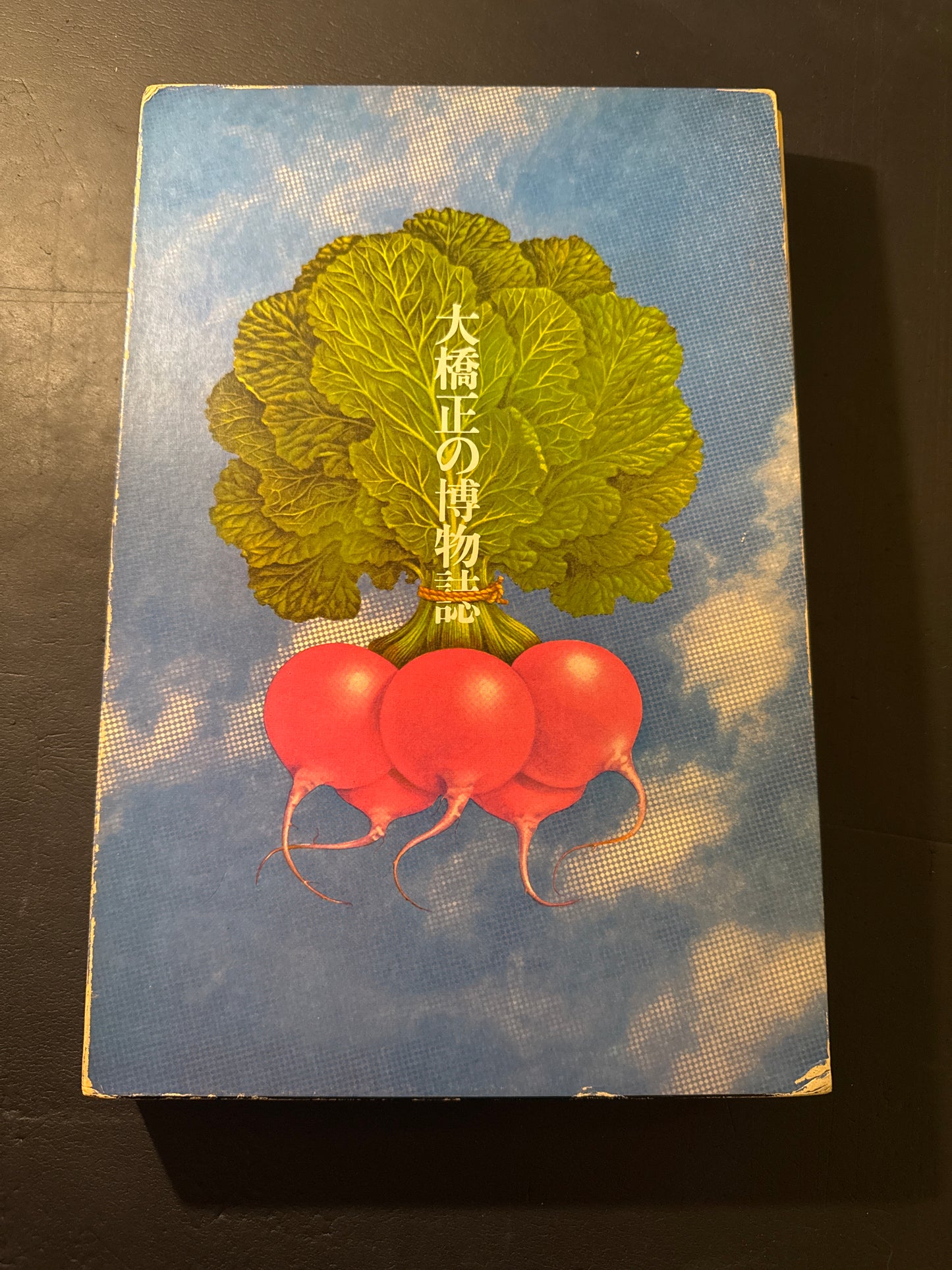 Tadashi Ohashi's Natural History