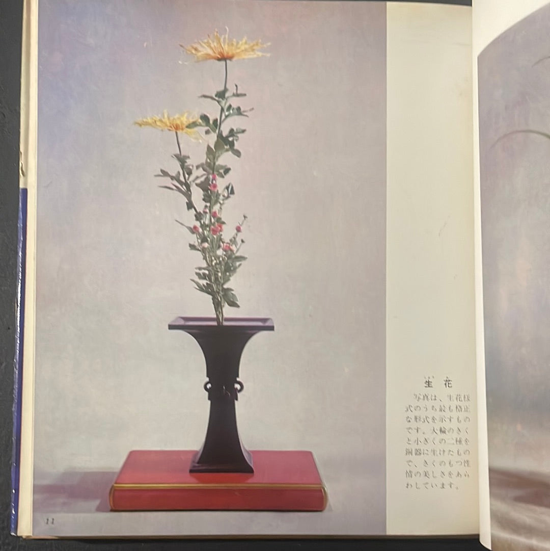 Ikebana graphic complete set