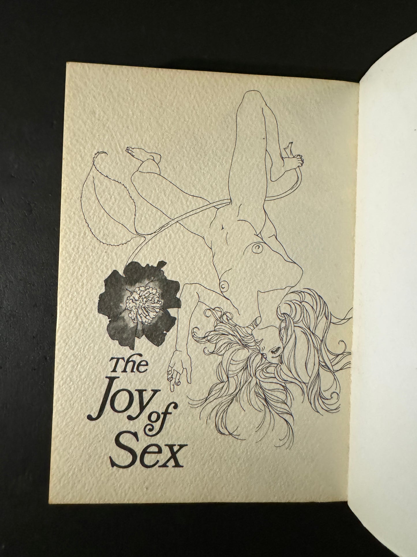 Include Kuni Fukai Illust : The Joy of Sex