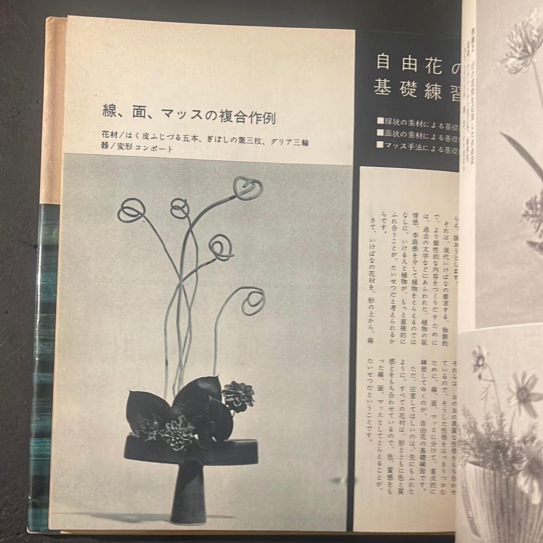 Ikebana graphic complete set