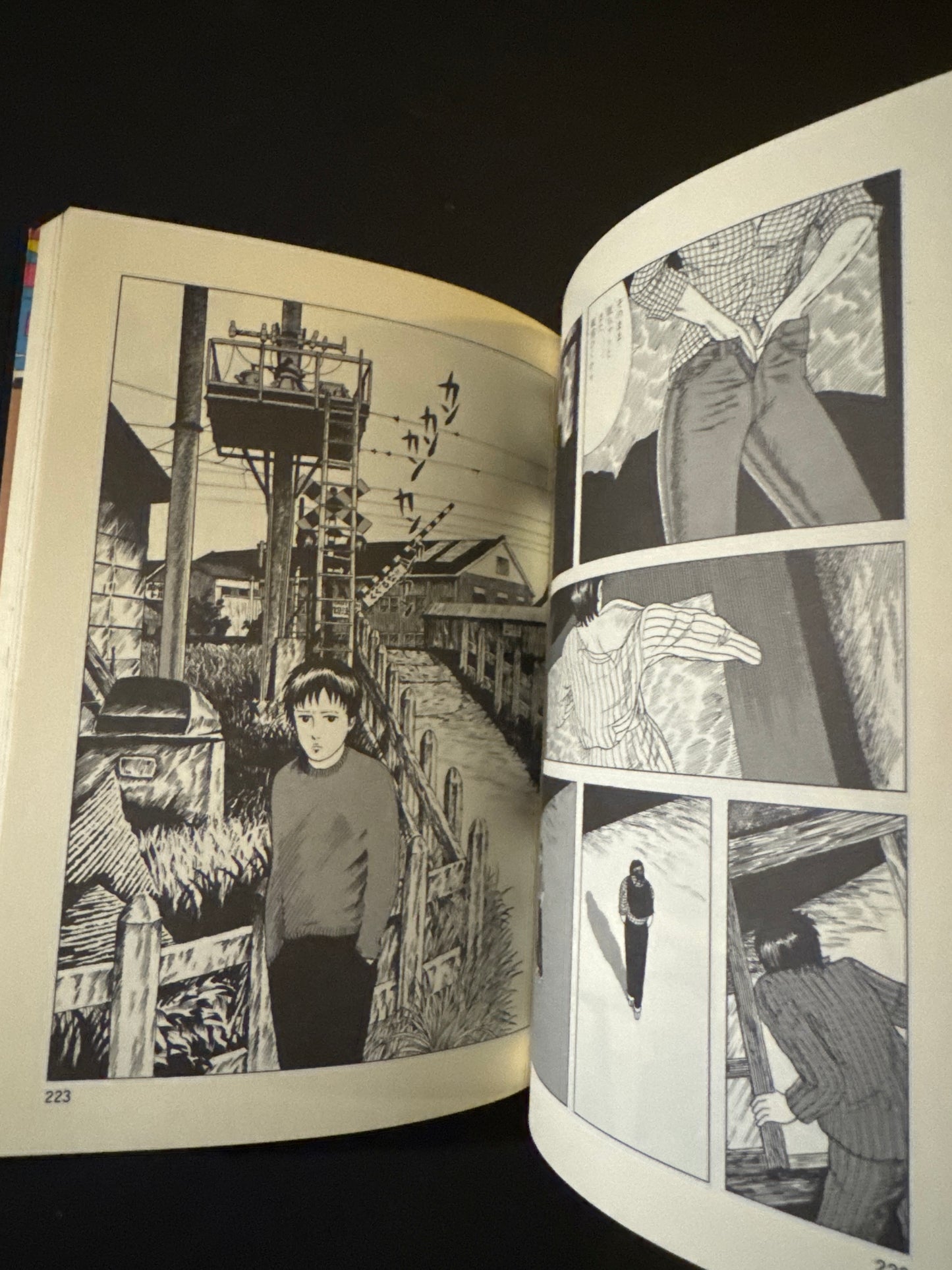 Thoughts on the Chocolate Sphinx