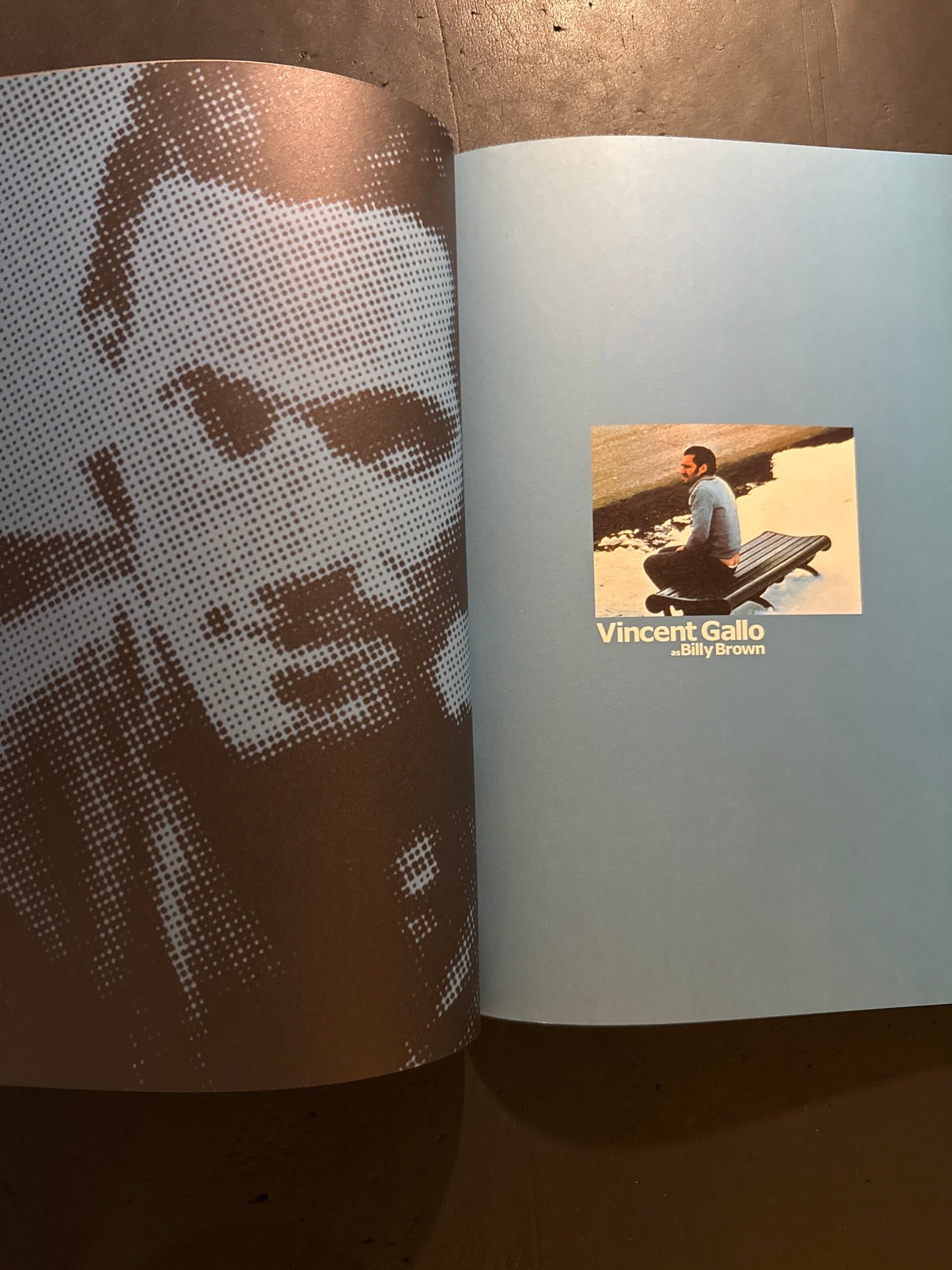 Buffalo '66 visual book