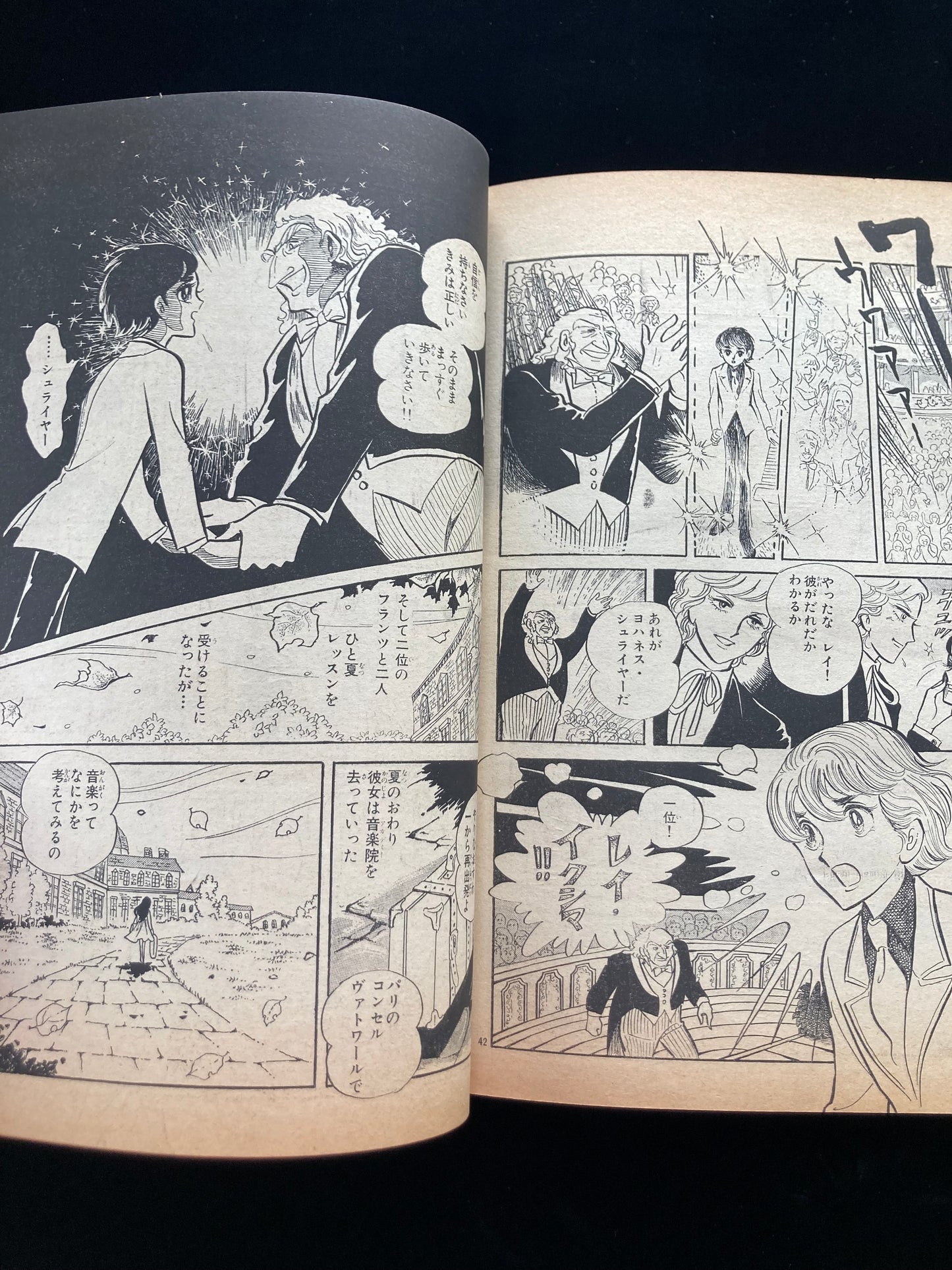 "Flower Deluxe" Keiko Takemiya illustration book