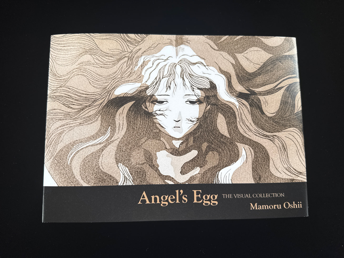 Angel's Egg THE VISUAL COLLECTION