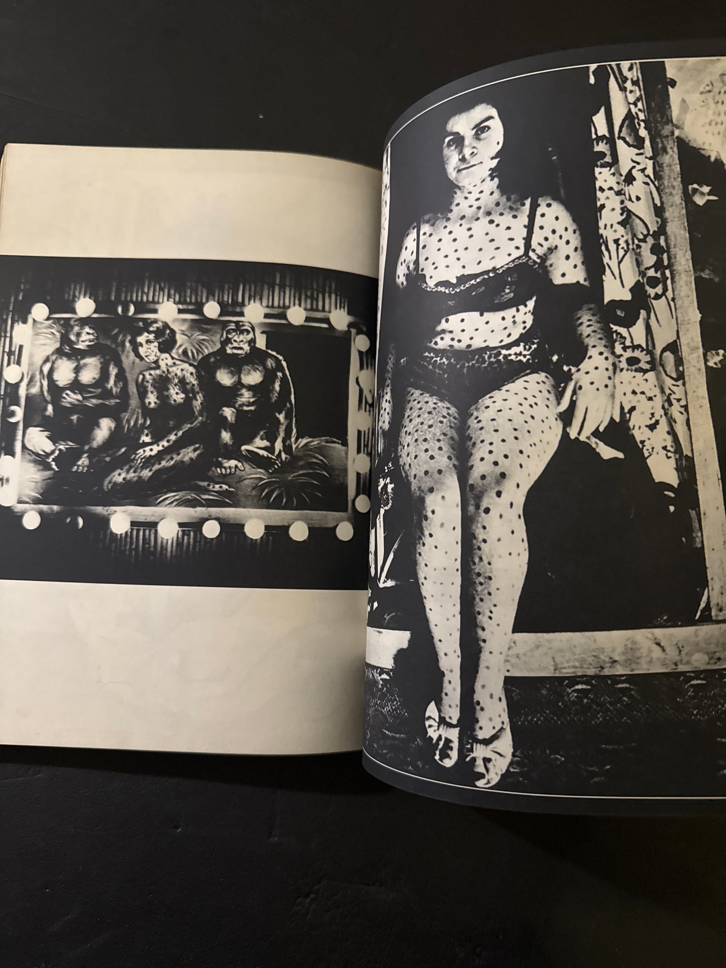 The Photo Image 10 issues complete set