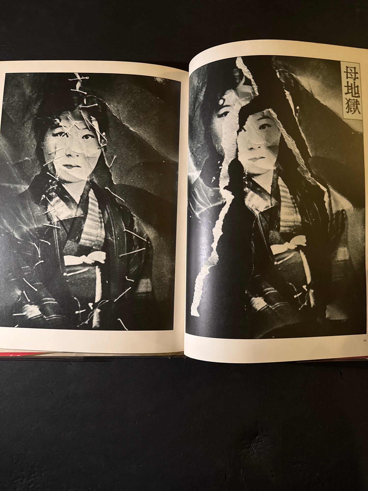 photo theque imaginaire de Shuji Terayama Les gems de la famille Chien Dieu