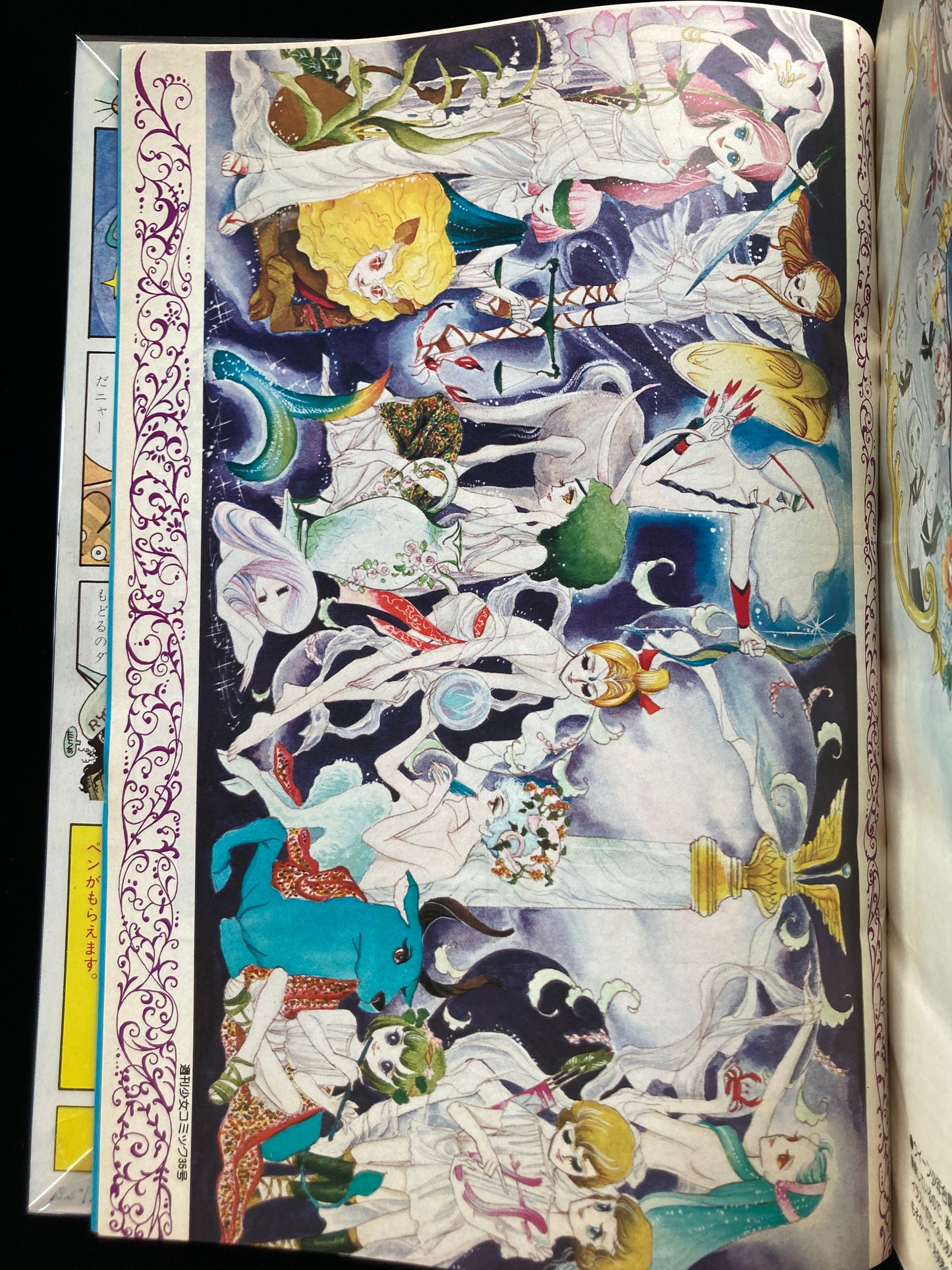 "Flower Deluxe" Keiko Takemiya illustration book