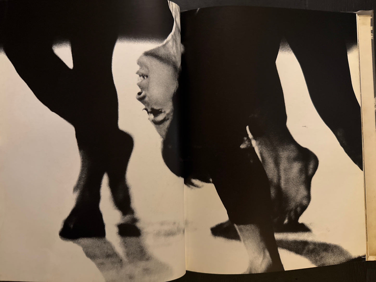 Selected Works of NANIWA SHASHIN CLUB 60th anniversary 1966