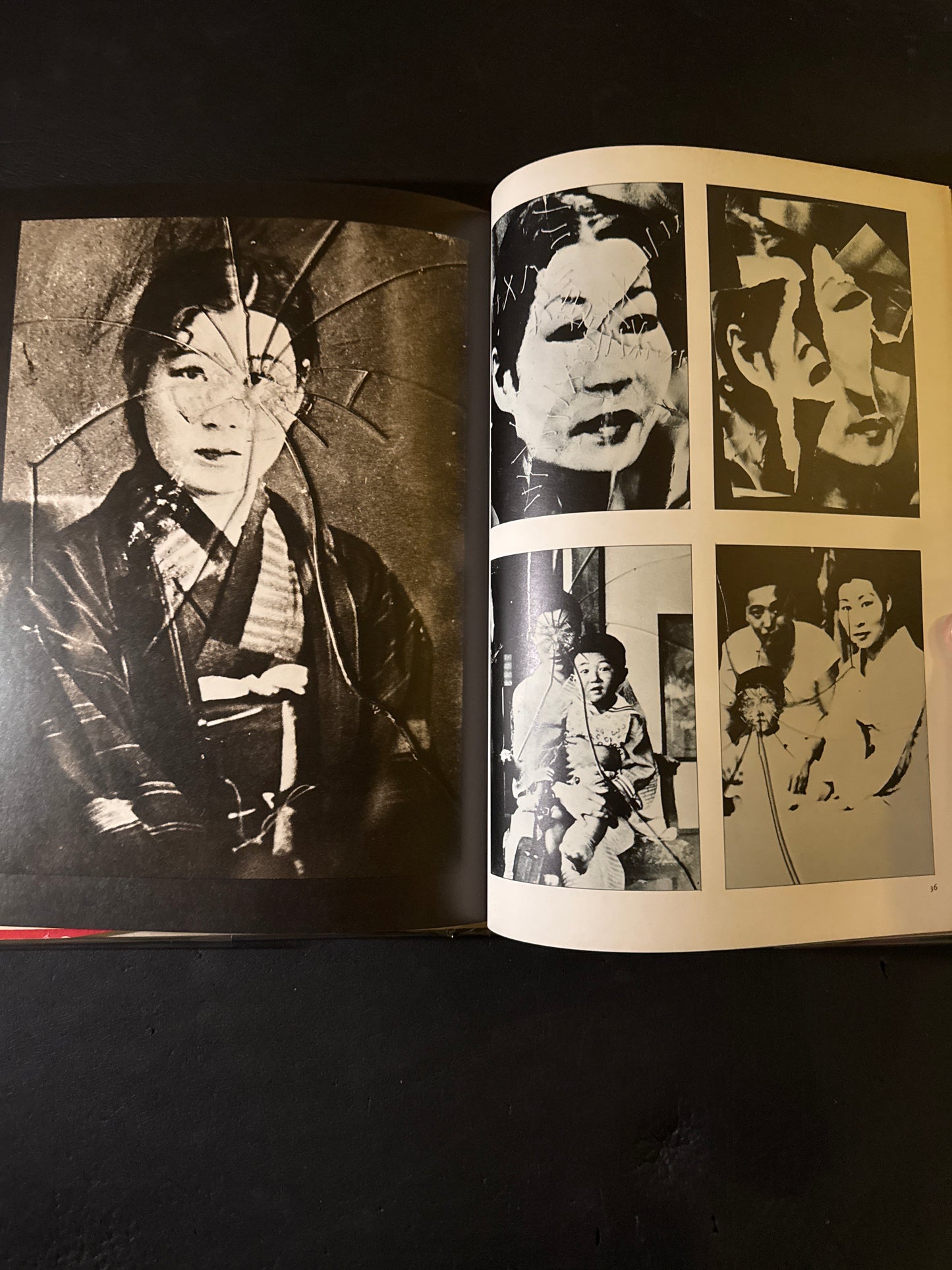 photo theque imaginaire de Shuji Terayama Les gems de la famille Chien Dieu