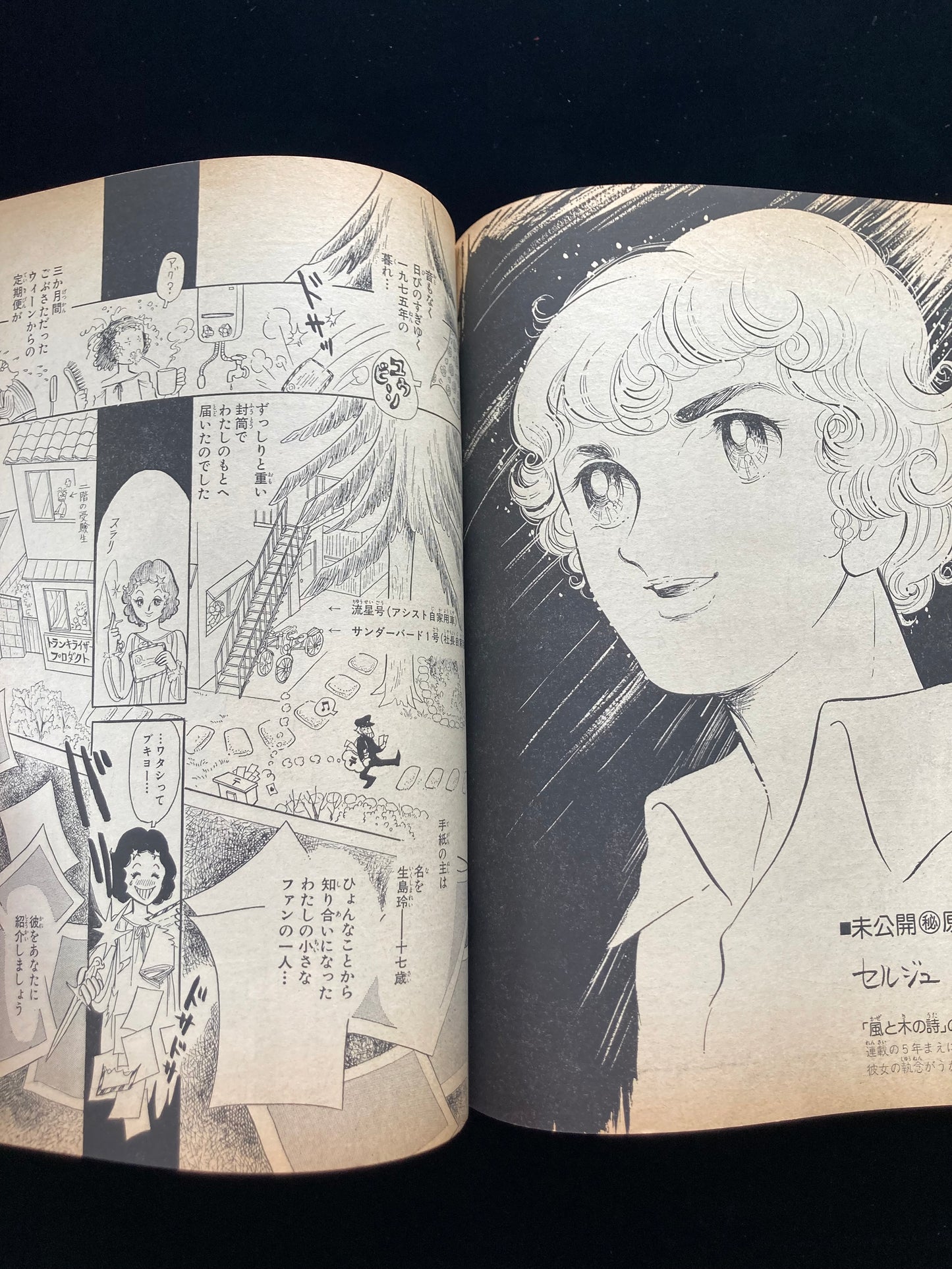 "Flower Deluxe" Keiko Takemiya illustration book