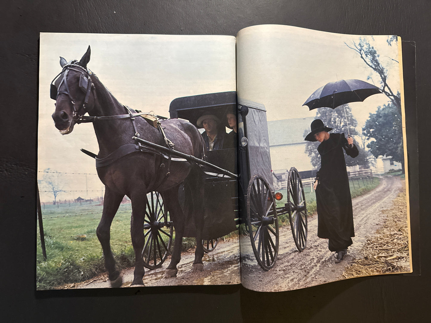 an•an 1972. U.S. Special Feature