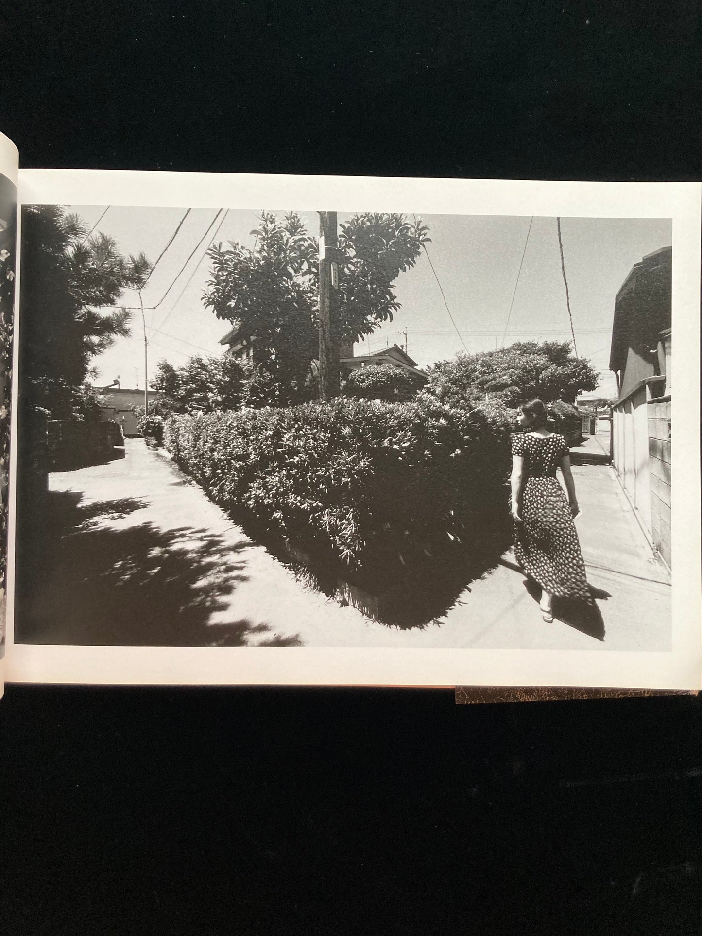 "Sawa" Nobuyoshi Aqaki CINEPHOTOGRAPH