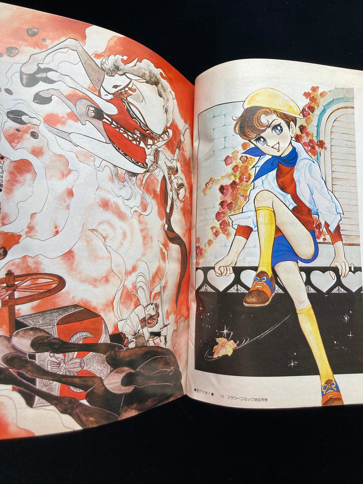 "Flower Deluxe" Keiko Takemiya illustration book