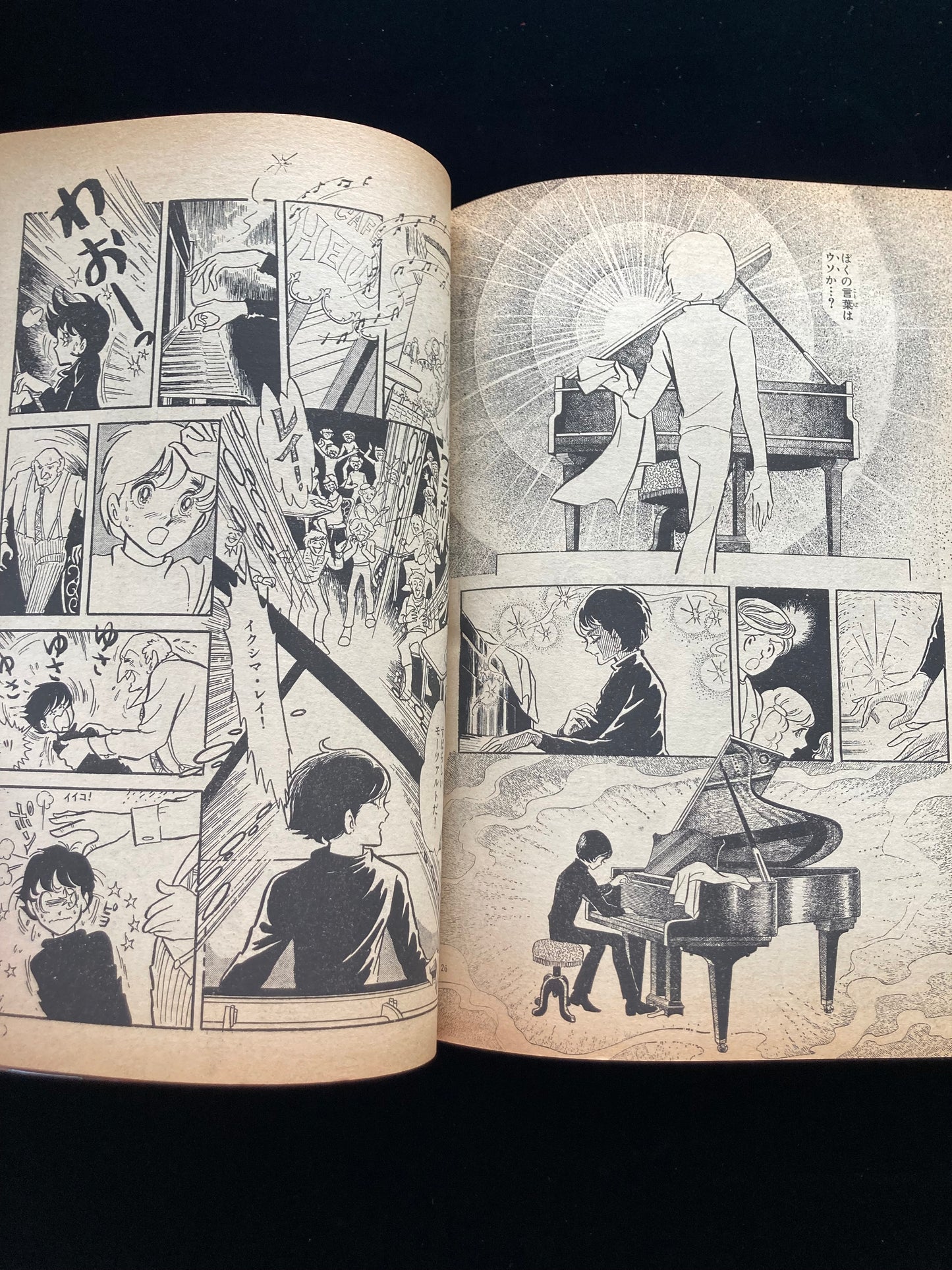 "Flower Deluxe" Keiko Takemiya illustration book