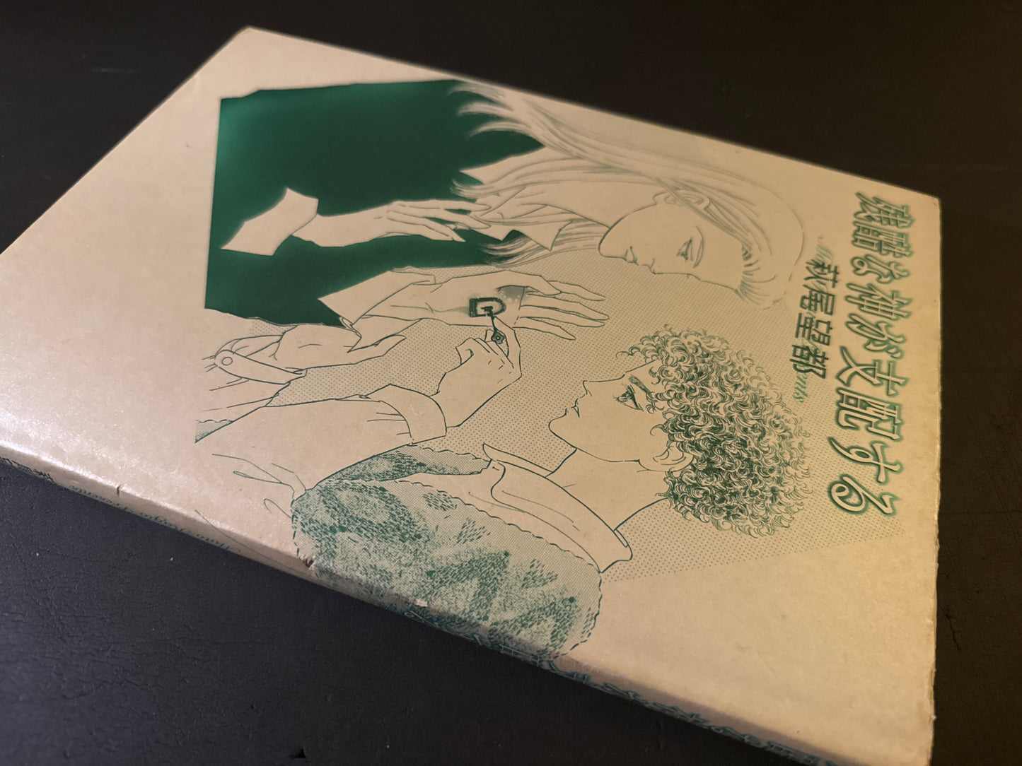 Moto Hagio Artbook : A Cruel God Reigns