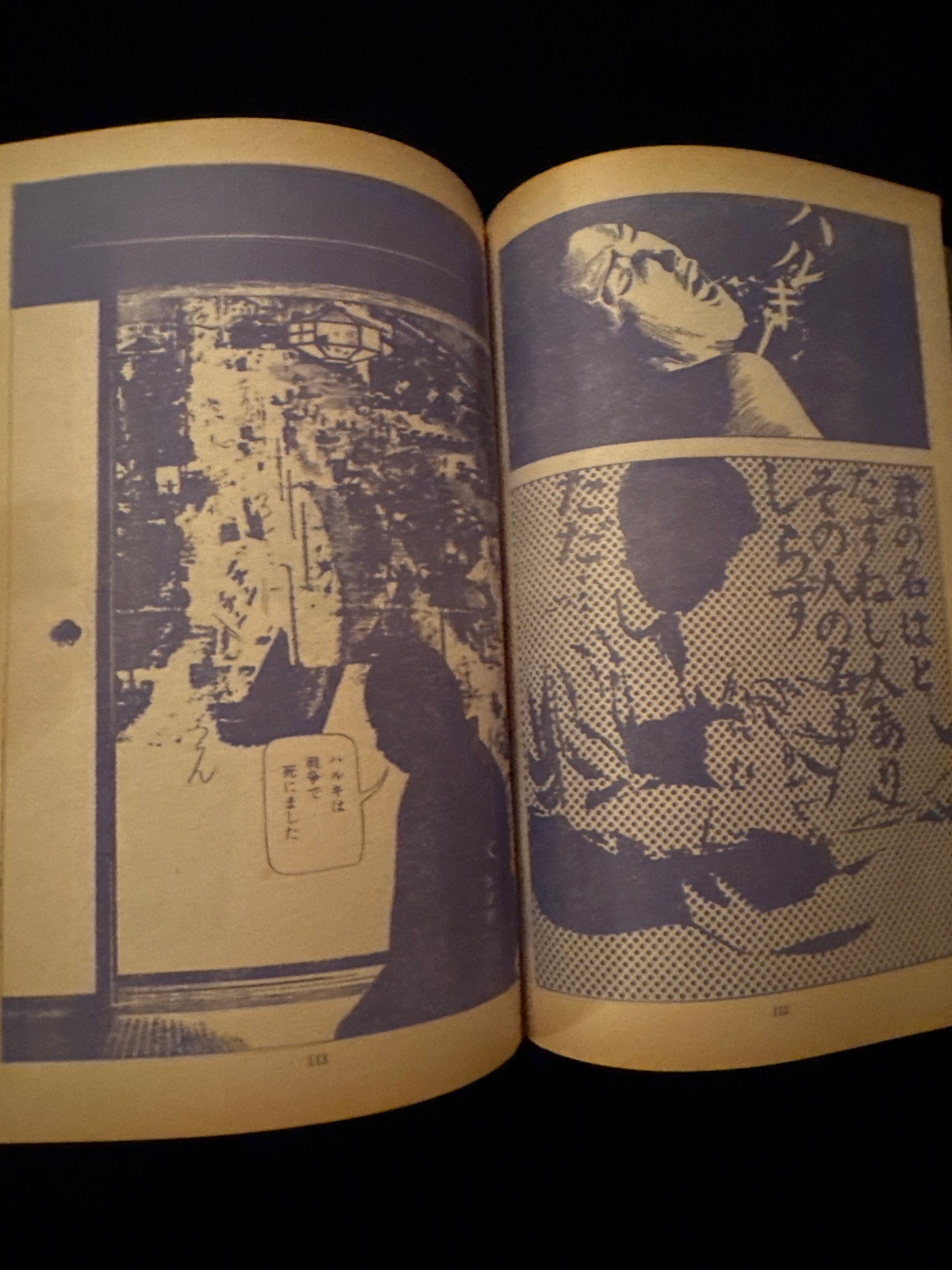 Sunday Mainichi : Gekiga & Manga