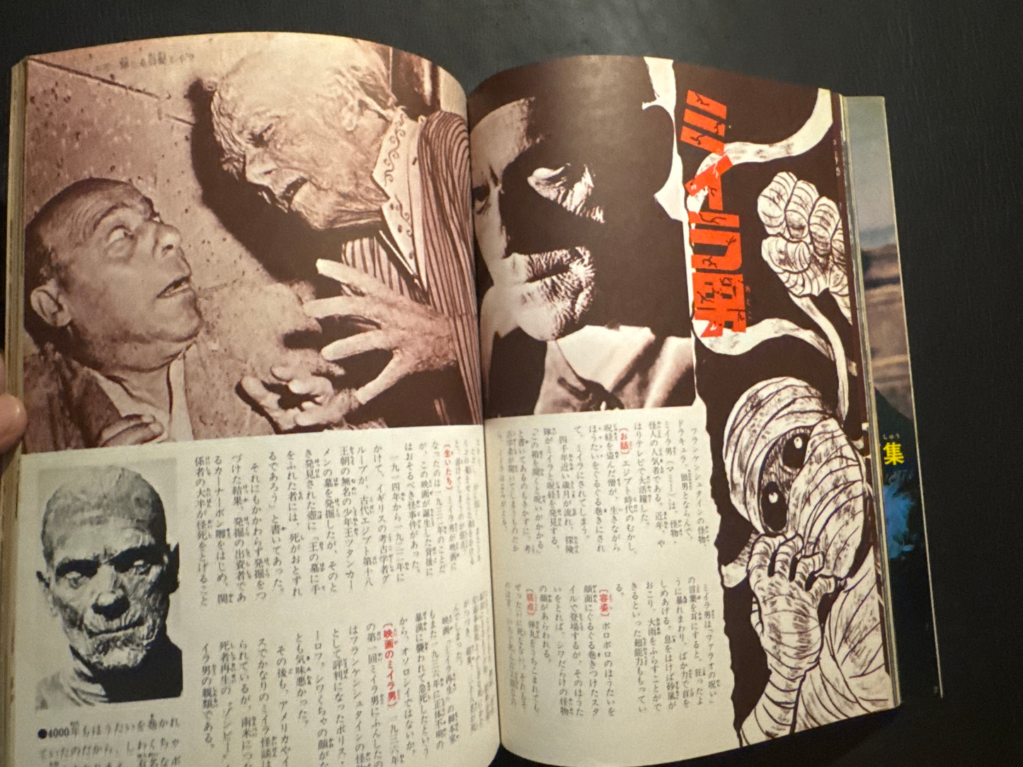 Horror! A Grand Special on the Bizarre