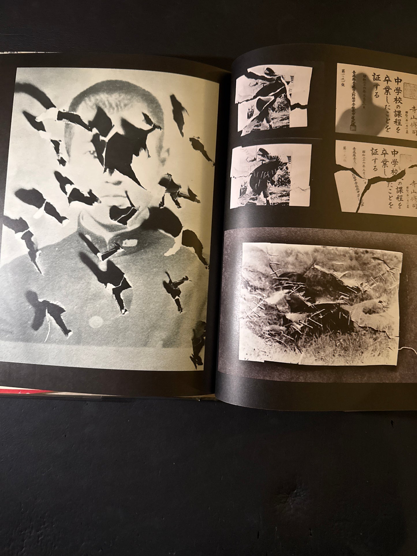 photo theque imaginaire de Shuji Terayama Les gems de la famille Chien Dieu