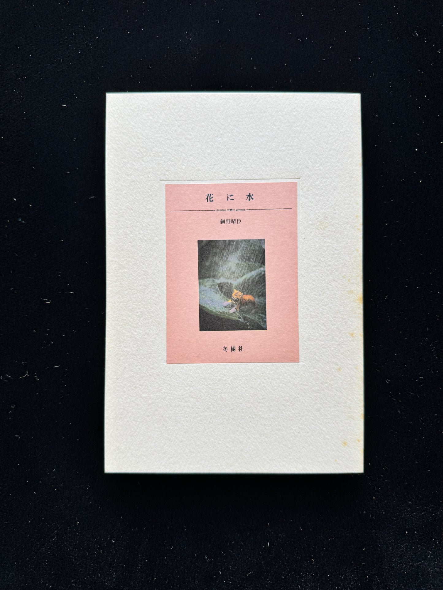 Hana ni Mizu (Water the flowers)  cassette book