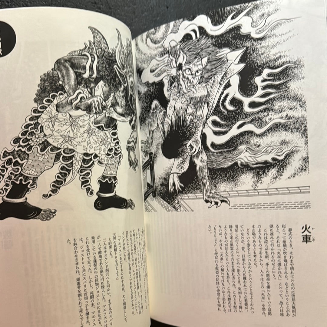 MIZUKI SHIGERU Collection of comics perfection Yokai Art Collection 4