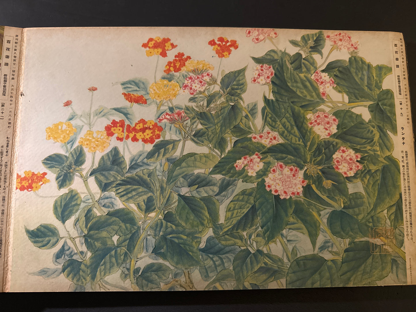 Hyakka: An Illustrated Collection of a Hundred Flowers