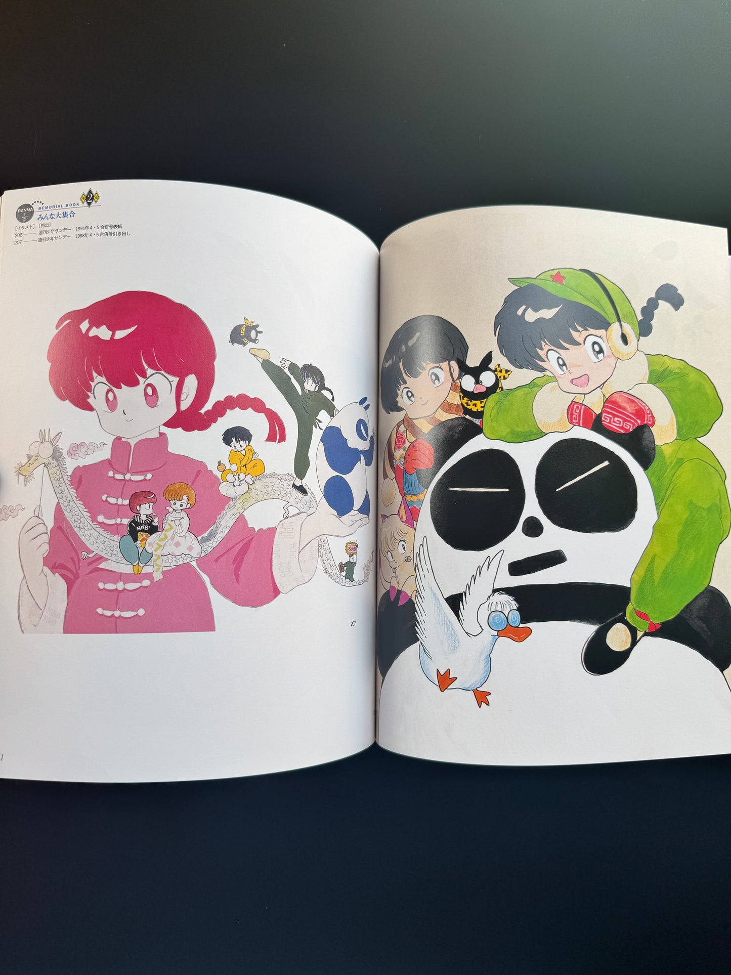 RANMA 1/2 MEMORIAL BOOK